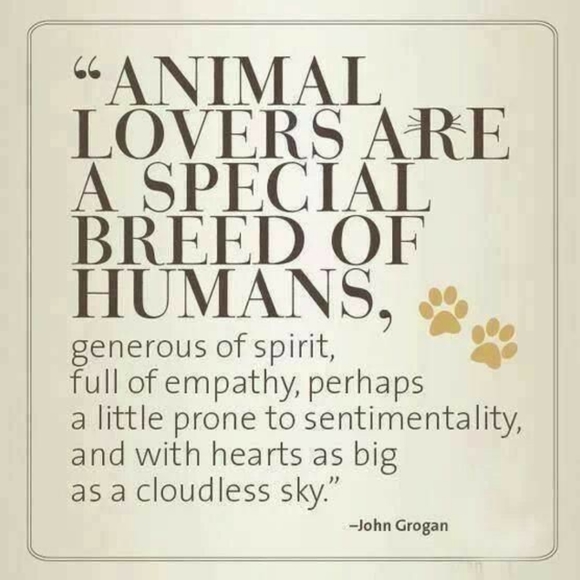 Please Be Kind To Homeless Animals - Picture 5 of 7